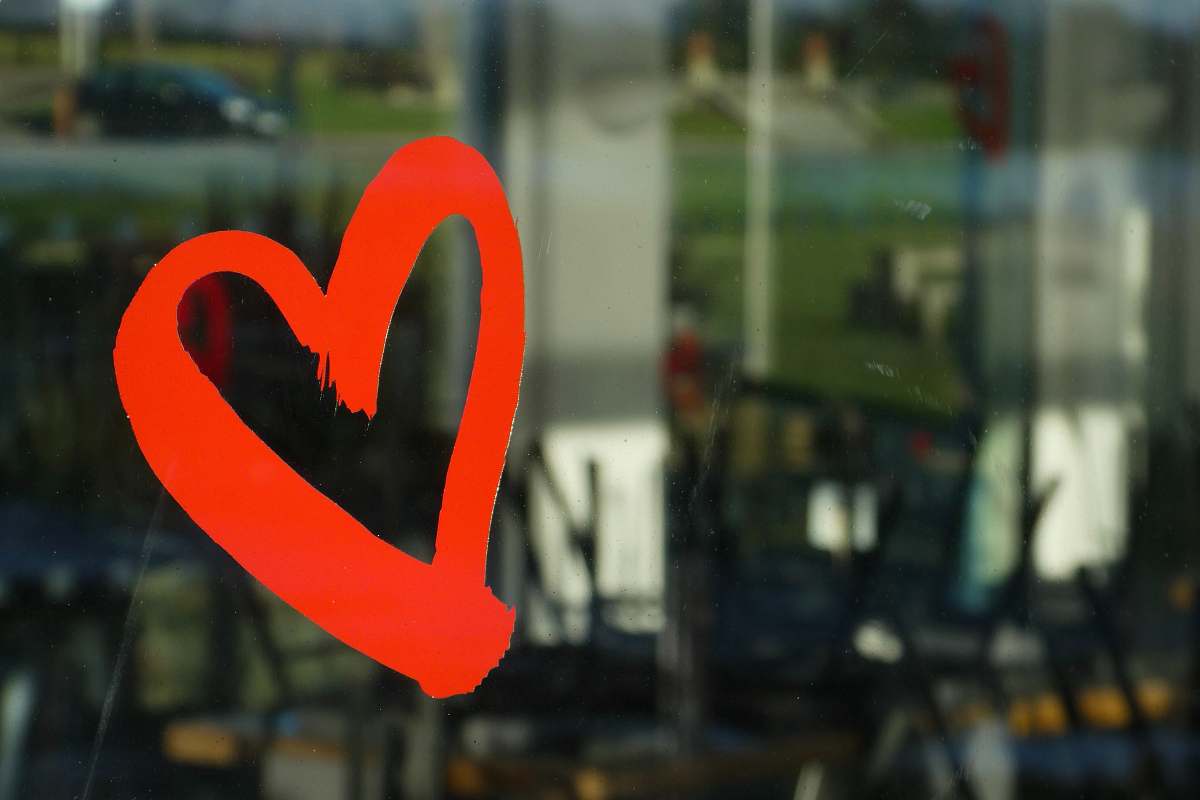 poole park selective focus photography of red heart poole